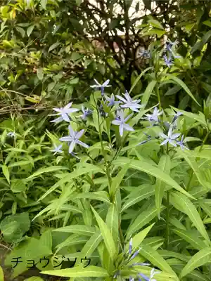 満願寺(長野県)