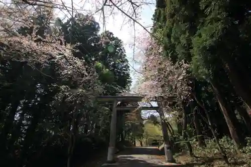 土津神社｜こどもと出世の神さまの鳥居