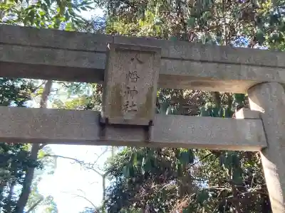 平塚八幡宮の{uncategorized: "未分類", other: "その他", undefined: "問題あり", building: "その他建物", grave: "お墓", sacred_gate: "鳥居", guardian: "狛犬", statue: "像", buddha: "仏像", history: "歴史", nature: "自然", garden: "庭園", animal: "動物", pagoda: "塔", temizu: "手水舎", mountain_gate: "山門・神門", sanctuary: "本殿・本堂", subordinate: "末社・摂社", art: "芸術", scenery: "景色", jizo: "地蔵", ema: "絵馬", goshuin: "御朱印", omikuji: "おみくじ", items: "授与品その他", amulet: "お守り", goshuincho: "御朱印帳", eats: "食事", festival: "お祭り", votive_dance: "神楽", shichigosan: "七五三参", wedding: "結婚式", experience: "体験その他", initially: "初詣", around: "周辺", anti_infection: "感染症対策"}