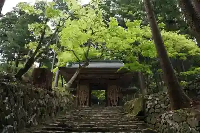 百済寺の{uncategorized: "未分類", other: "その他", undefined: "問題あり", building: "その他建物", grave: "お墓", sacred_gate: "鳥居", guardian: "狛犬", statue: "像", buddha: "仏像", history: "歴史", nature: "自然", garden: "庭園", animal: "動物", pagoda: "塔", temizu: "手水舎", mountain_gate: "山門・神門", sanctuary: "本殿・本堂", subordinate: "末社・摂社", art: "芸術", scenery: "景色", jizo: "地蔵", ema: "絵馬", goshuin: "御朱印", omikuji: "おみくじ", items: "授与品その他", amulet: "お守り", goshuincho: "御朱印帳", eats: "食事", festival: "お祭り", votive_dance: "神楽", shichigosan: "七五三参", wedding: "結婚式", experience: "体験その他", initially: "初詣", around: "周辺", anti_infection: "感染症対策"}
