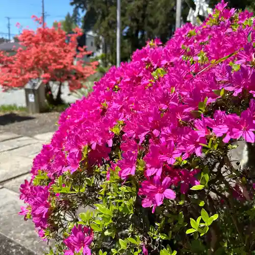 豊景神社(福島県)