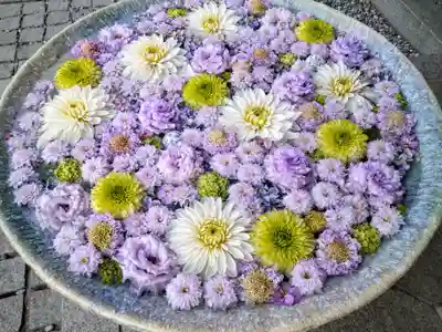 行田八幡神社(埼玉県)