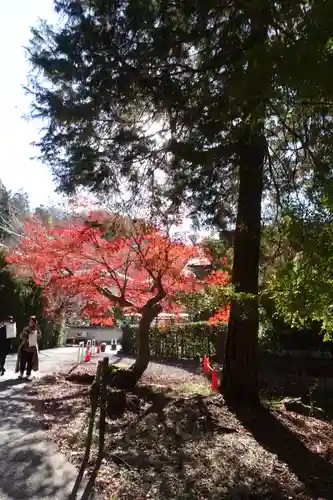 御蔭神社のその他建物