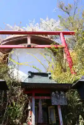 ガマ大明神(茨城県)