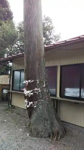 高尾山穂見神社の自然