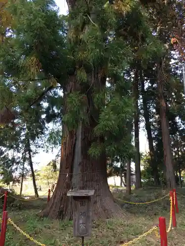 杵衝神社の自然