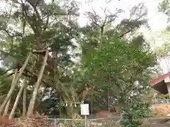 熊野神社(鹿児島県)