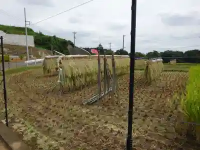 伊勢原 法泉寺の周辺