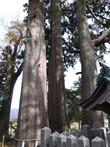 佐味神社(滋賀県)