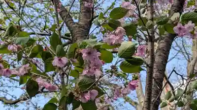 永山神社(北海道)