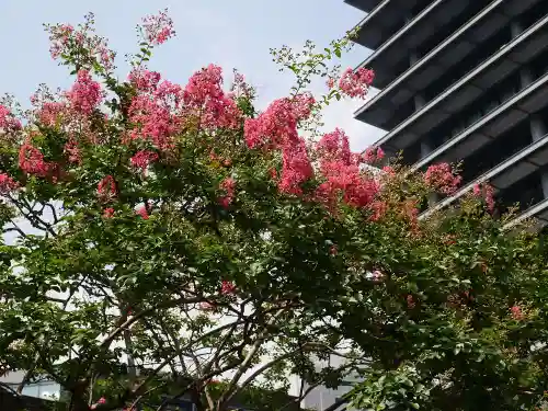 豊川稲荷東京別院の自然