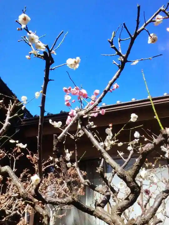 田端神社(東京都)