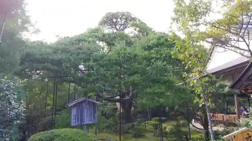 宝泉院(京都府)
