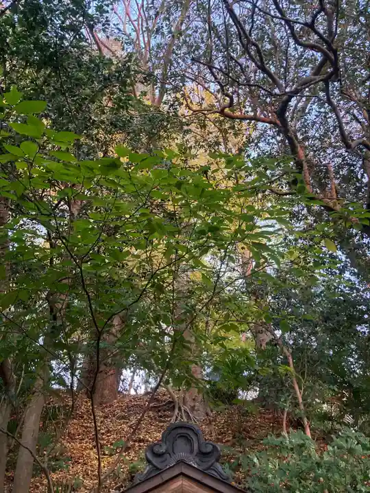 須磨稲荷大明神・和佐稲荷大明神(神奈川県)