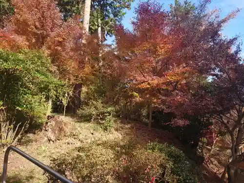 塩船観音寺の庭園