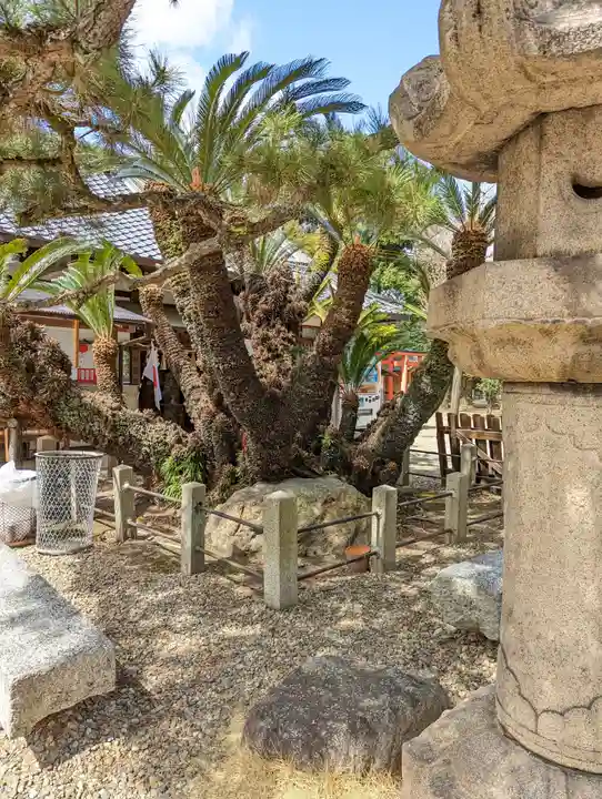 御香宮神社(京都府)