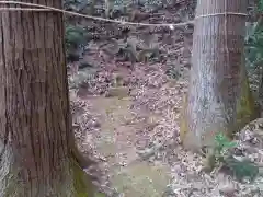 熊野神社の自然