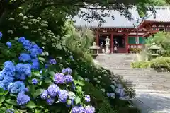 矢田寺の自然