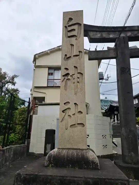 白山神社の{uncategorized: "未分類", other: "その他", undefined: "問題あり", building: "その他建物", grave: "お墓", sacred_gate: "鳥居", guardian: "狛犬", statue: "像", buddha: "仏像", history: "歴史", nature: "自然", garden: "庭園", animal: "動物", pagoda: "塔", temizu: "手水舎", mountain_gate: "山門・神門", sanctuary: "本殿・本堂", subordinate: "末社・摂社", art: "芸術", scenery: "景色", jizo: "地蔵", ema: "絵馬", goshuin: "御朱印", omikuji: "おみくじ", items: "授与品その他", amulet: "お守り", goshuincho: "御朱印帳", eats: "食事", festival: "お祭り", votive_dance: "神楽", shichigosan: "七五三参", wedding: "結婚式", experience: "体験その他", initially: "初詣", around: "周辺", anti_infection: "感染症対策"}