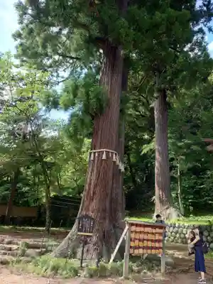 日枝神社(静岡県)