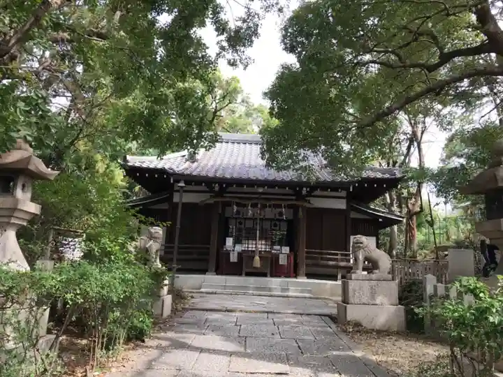 安居神社の本殿・本堂