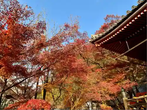 禅林寺（永観堂）(京都府)