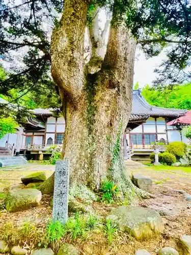 補陀寺(宮城県)
