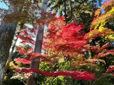 国宝 長寿寺(滋賀県)