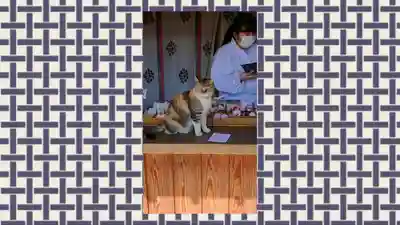 前玉神社(埼玉県)