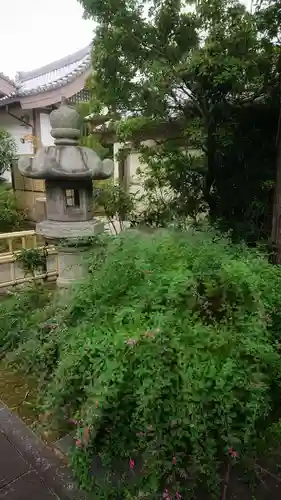 圓光禅寺の庭園