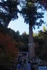 由岐神社の自然