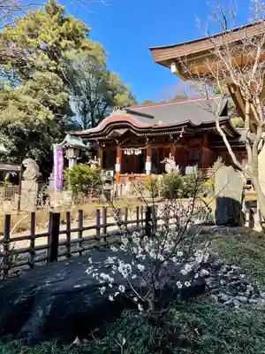 玉川神社(東京都)