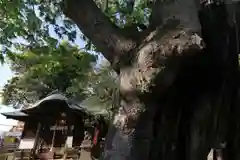 阿邪訶根神社の景色