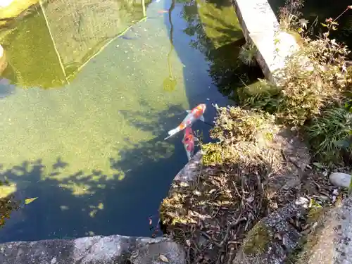 龍馬神社の庭園