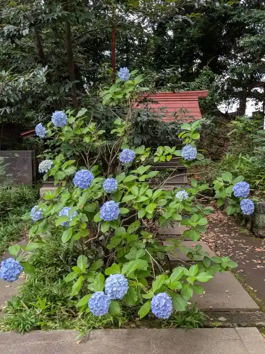 渋谷氷川神社(東京都)