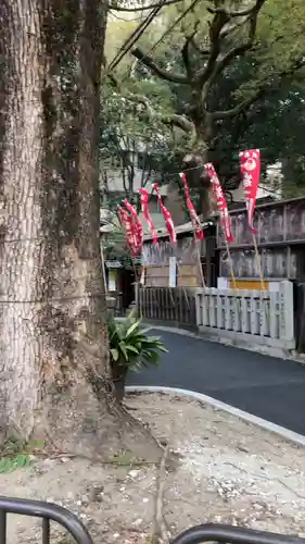 若一神社の自然