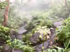 飯縄神社 奥社の自然