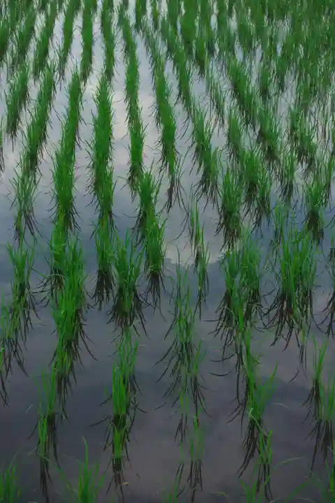 手力雄神社の周辺