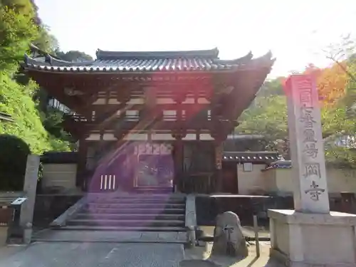 岡寺（龍蓋寺）の山門・神門