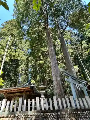 九頭龍神社(東京都)