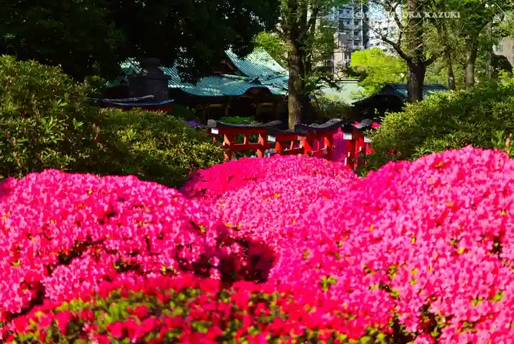 根津神社の自然