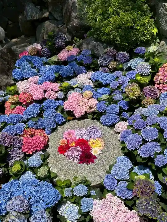 岡寺(龍蓋寺)(奈良県)