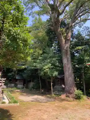 居神神社(神奈川県)