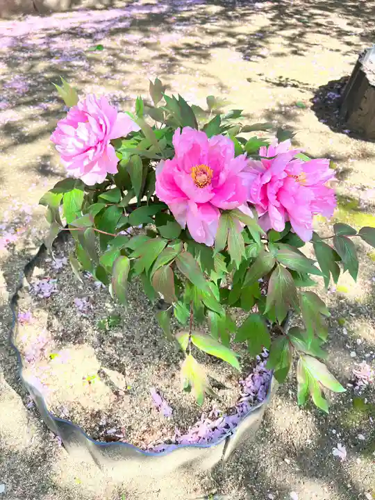 刑部神社の庭園