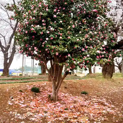 東蕗田天満社の自然