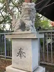 高島稲荷神社の狛犬