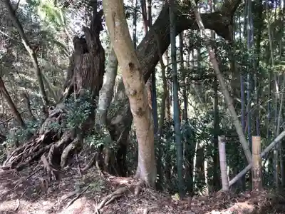 旧愛宕神社の周辺