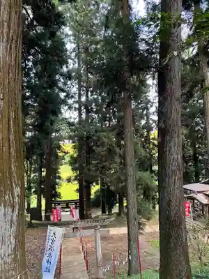 大宮温泉神社の鳥居