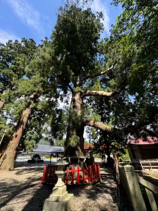 志和古稲荷神社(岩手県)