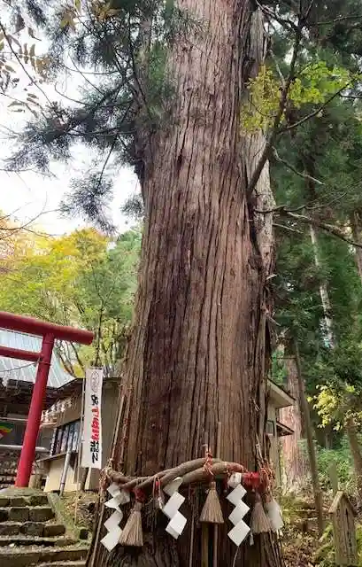 磐椅神社の自然
